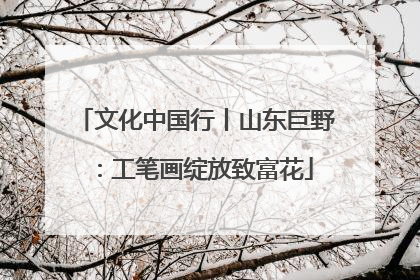 文化中国行丨山东巨野：工笔画绽放致富花