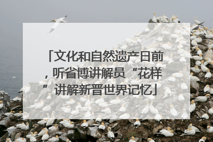 文化和自然遗产日前，听省博讲解员“花样”讲解新晋世界记忆