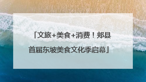 文旅+美食+消费！郏县首届东坡美食文化季启幕