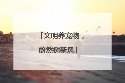 文明养宠物，蔚然树新风