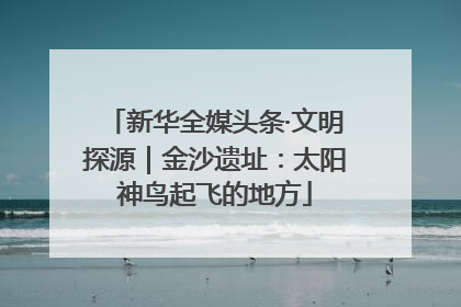 新华全媒头条·文明探源｜金沙遗址：太阳神鸟起飞的地方