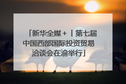 新华全媒＋丨第七届中国西部国际投资贸易洽谈会在渝举行