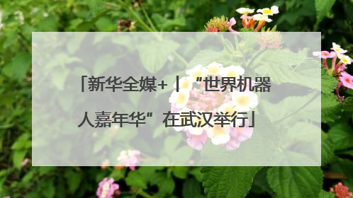新华全媒+丨“世界机器人嘉年华”在武汉举行