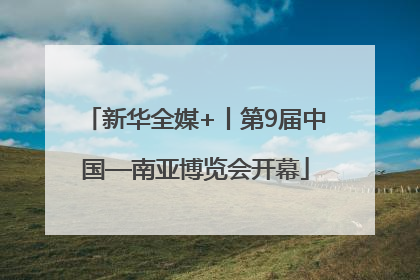 新华全媒+丨第9届中国—南亚博览会开幕