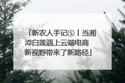 新农人手记⑤丨当湘潭白莲遇上云端电商 新视野带来了新路径