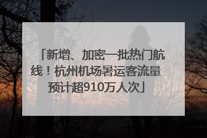 新增、加密一批热门航线！杭州机场暑运客流量预计超910万人次