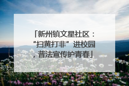 新州镇文星社区：“扫黄打非”进校园，普法宣传护青春