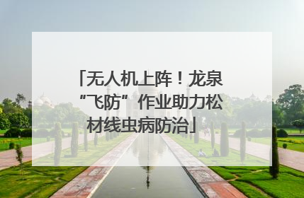 无人机上阵！龙泉“飞防”作业助力松材线虫病防治