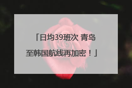 日均39班次 青岛至韩国航线再加密！
