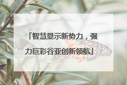 智慧显示新势力，强力巨彩谷亚创新领航