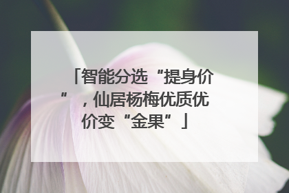 智能分选“提身价”，仙居杨梅优质优价变“金果”