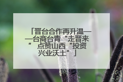 晋台合作再升温——台商台青“走晋来” 点赞山西“投资兴业沃土”