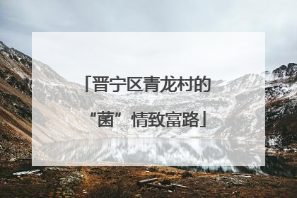 晋宁区青龙村的“菌”情致富路