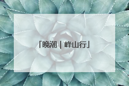 晚潮｜峰山行