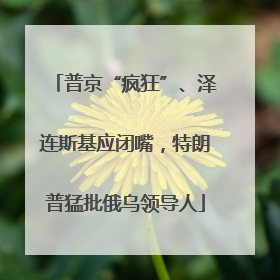 普京“疯狂”、泽连斯基应闭嘴，特朗普猛批俄乌领导人