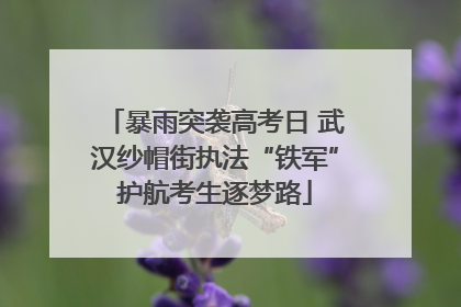 暴雨突袭高考日 武汉纱帽街执法“铁军”护航考生逐梦路
