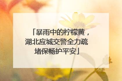 暴雨中的柠檬黄，湖北应城交警全力疏堵保畅护平安