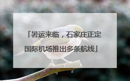 暑运来临，石家庄正定国际机场推出多条航线
