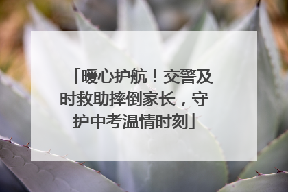 暖心护航！交警及时救助摔倒家长，守护中考温情时刻