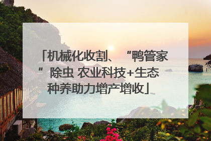 机械化收割、“鸭管家”除虫 农业科技+生态种养助力增产增收