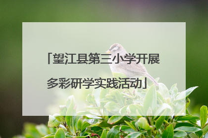 望江县第三小学开展多彩研学实践活动
