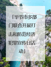 毕节市多部门联合开展打击和防范经济犯罪宣传日活动