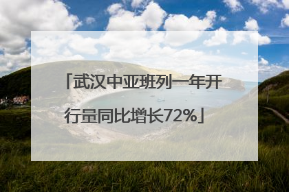 武汉中亚班列一年开行量同比增长72%