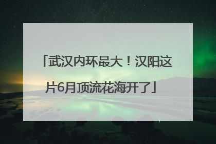 武汉内环最大！汉阳这片6月顶流花海开了