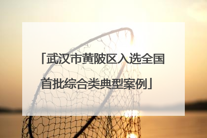 武汉市黄陂区入选全国首批综合类典型案例