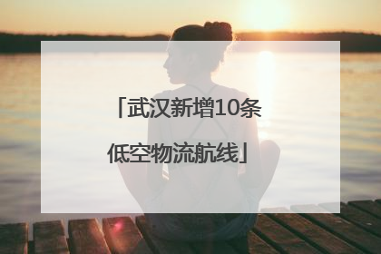 武汉新增10条低空物流航线