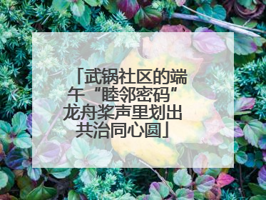 武锅社区的端午“睦邻密码”龙舟桨声里划出共治同心圆