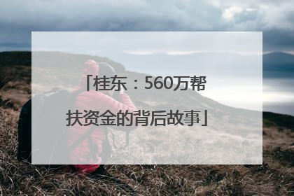 桂东：560万帮扶资金的背后故事
