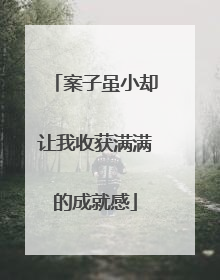 案子虽小却让我收获满满的成就感