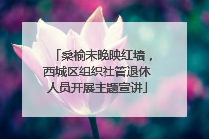 桑榆未晚映红墙，西城区组织社管退休人员开展主题宣讲