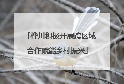 桦川积极开展跨区域合作赋能乡村振兴