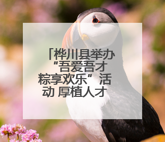桦川县举办“吾爱吾才 粽享欢乐”活动 厚植人才服务沃土