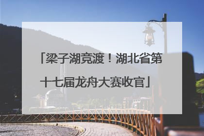 梁子湖竞渡！湖北省第十七届龙舟大赛收官