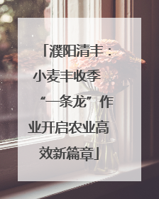 濮阳清丰：小麦丰收季 “一条龙”作业开启农业高效新篇章