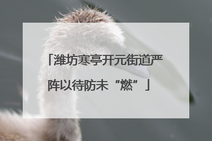 潍坊寒亭开元街道严阵以待防未“燃”