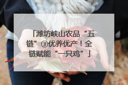 潍坊峡山农品“五链”③优养优产！全链赋能“一只鸡”