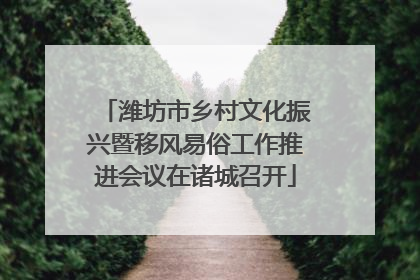 潍坊市乡村文化振兴暨移风易俗工作推进会议在诸城召开