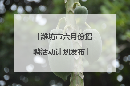 潍坊市六月份招聘活动计划发布
