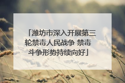 潍坊市深入开展第三轮禁毒人民战争 禁毒斗争形势持续向好