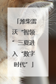 潍柴雷沃“智领”三夏进入“数字时代”