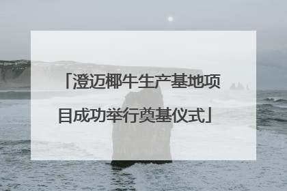 澄迈椰牛生产基地项目成功举行奠基仪式