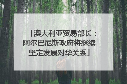 澳大利亚贸易部长：阿尔巴尼斯政府将继续坚定发展对华关系