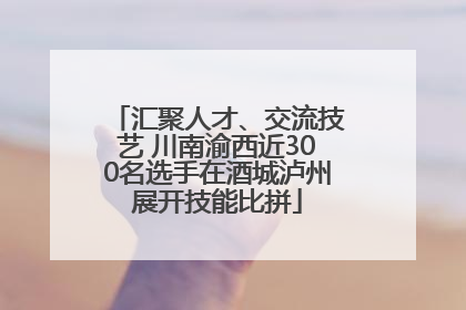 汇聚人才、交流技艺 川南渝西近300名选手在酒城泸州展开技能比拼