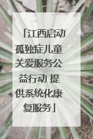 江西启动孤独症儿童关爱服务公益行动 提供系统化康复服务