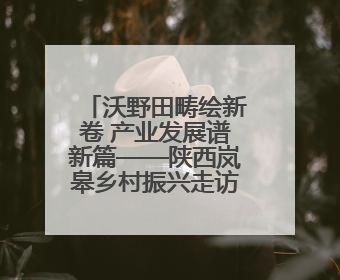 沃野田畴绘新卷 产业发展谱新篇——陕西岚皋乡村振兴走访见闻