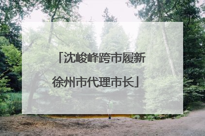 沈峻峰跨市履新徐州市代理市长